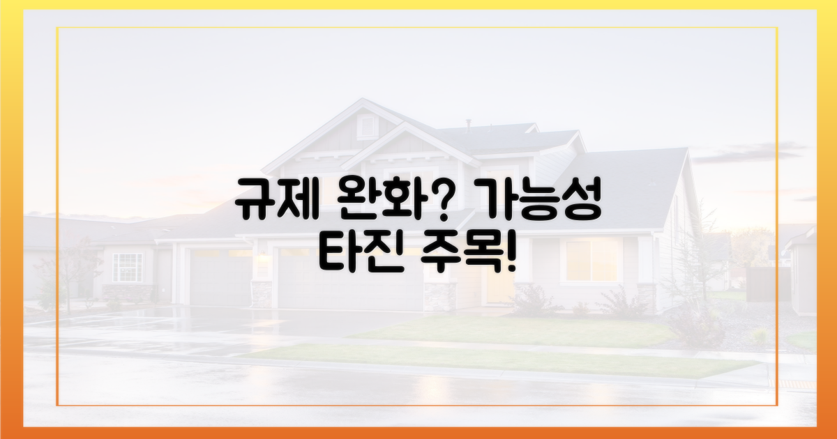 규제 완화 가능성은?