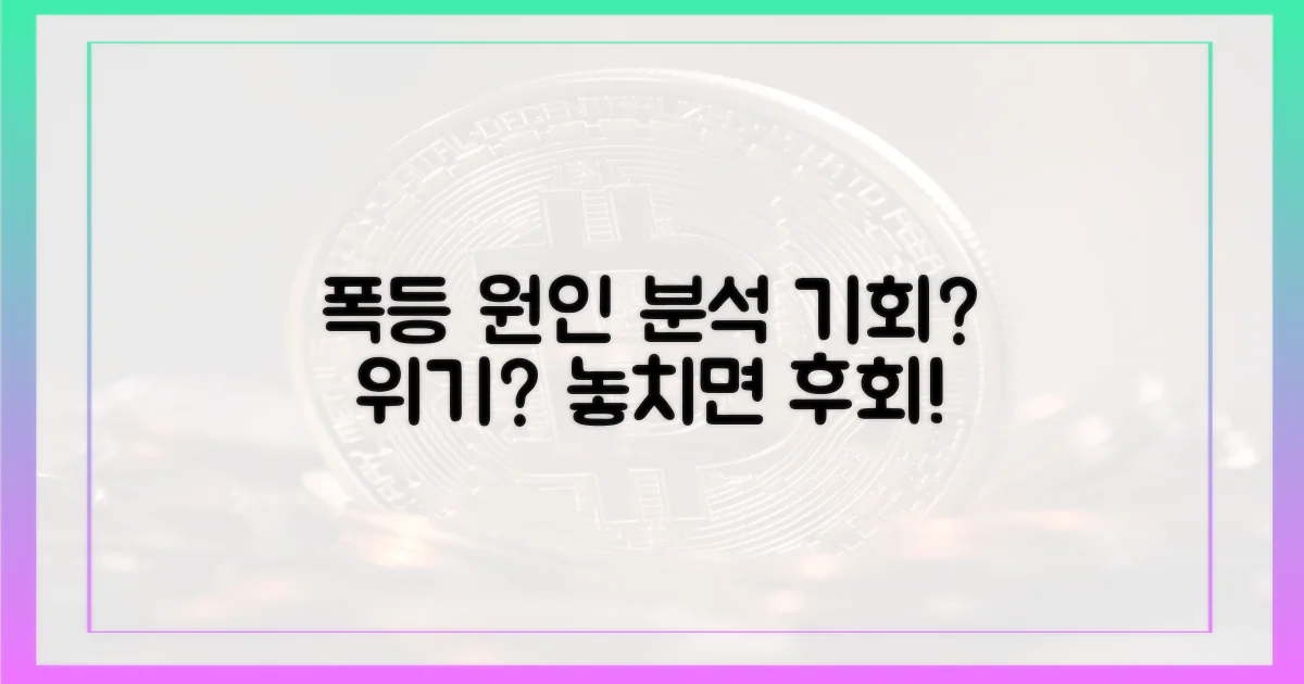 폭등 원인 분석, 기회일까 위기일까