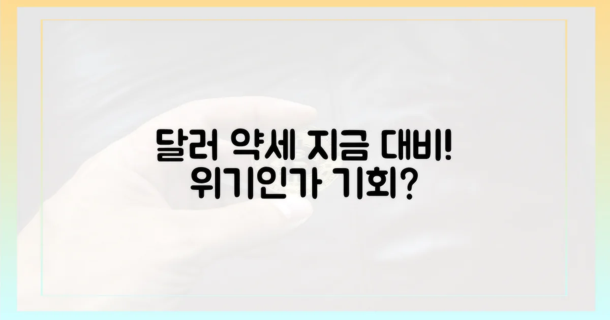 달러 약세, 지금 대비하세요