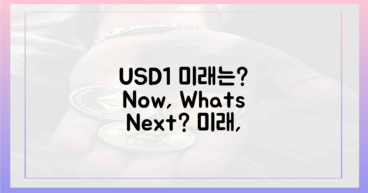 USD1, 미래는 어떻게?
