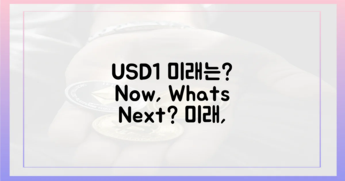 USD1, 미래는 어떻게?