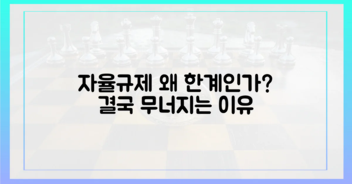 자율규제 한계, 왜?