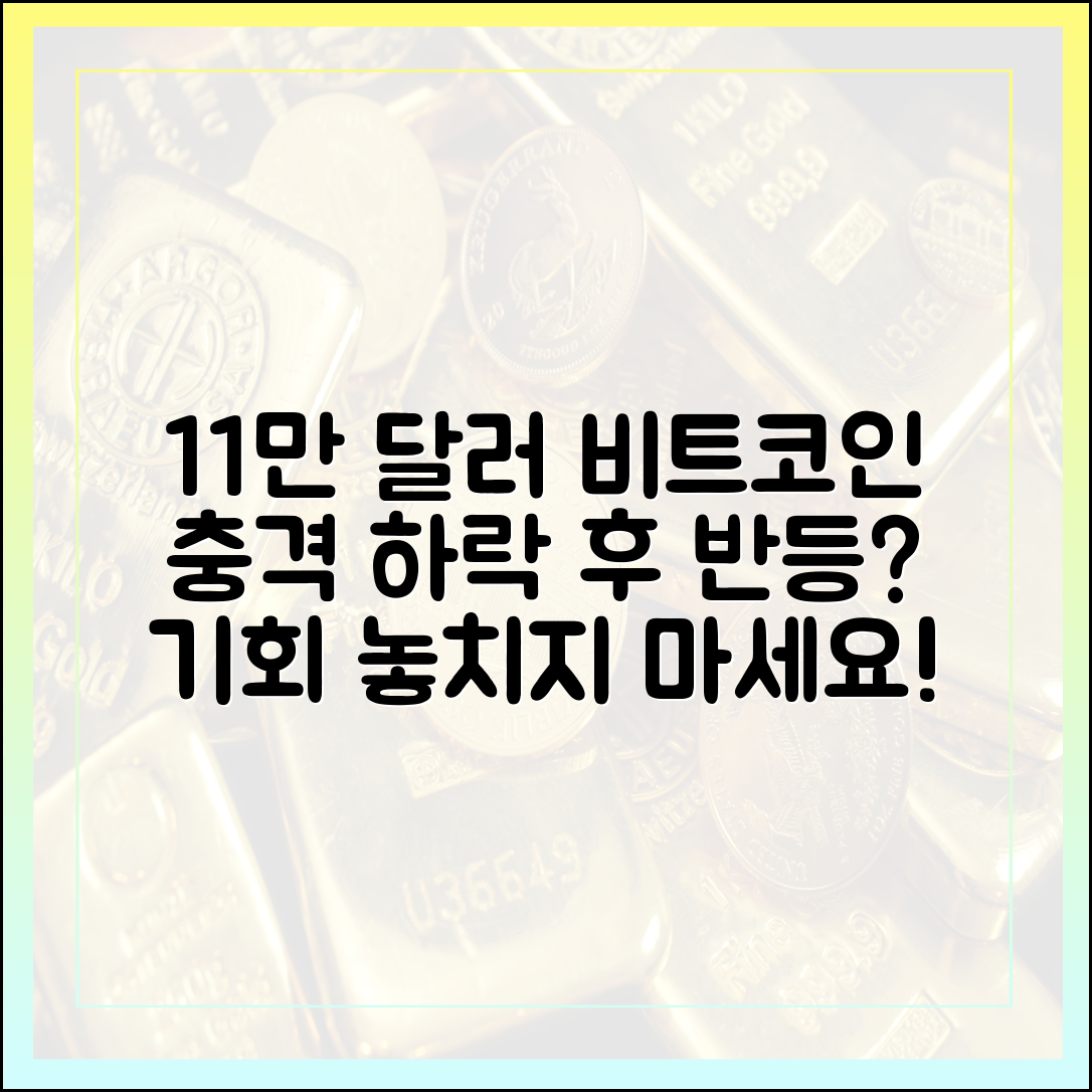 비트코인 11만 달러 관건! 충격 하락 후 반등?