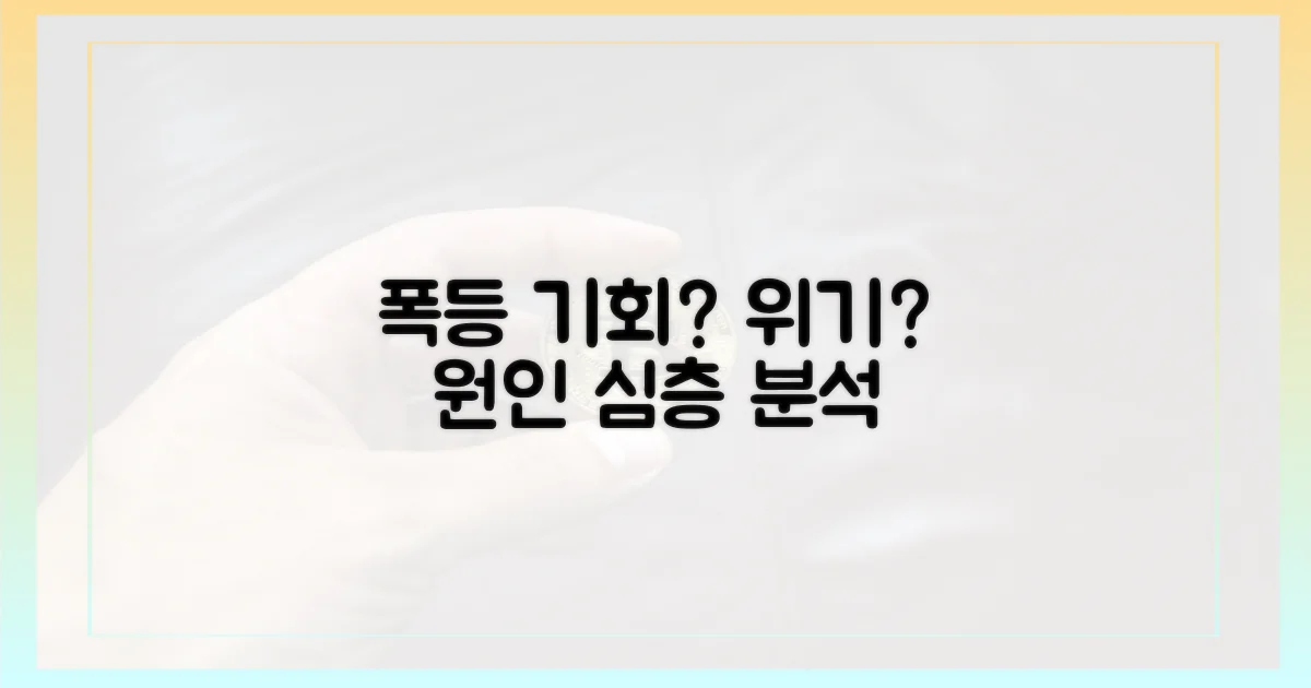 기회인가, 위기인가? 폭등 원인 분석