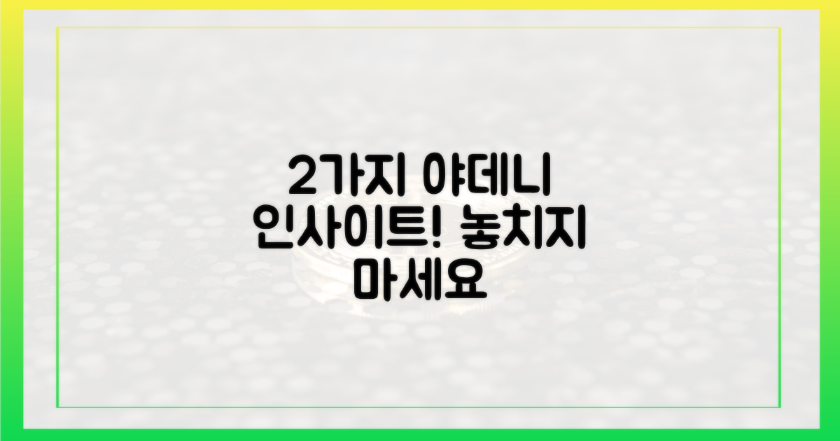 2가지 야데니의 통찰