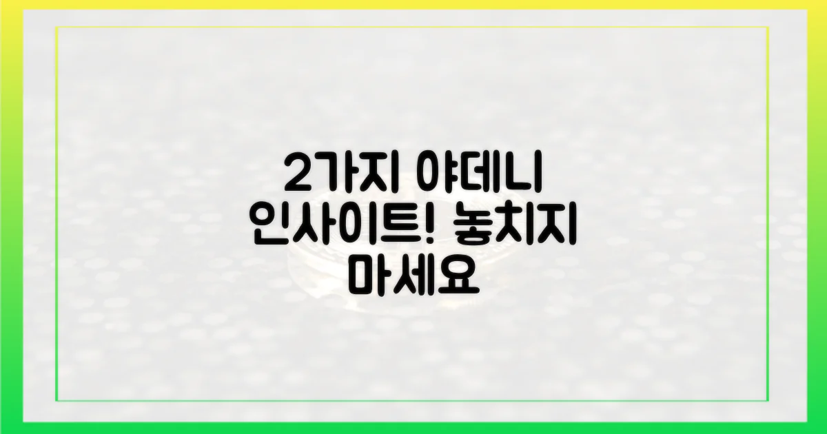 2가지 야데니의 통찰