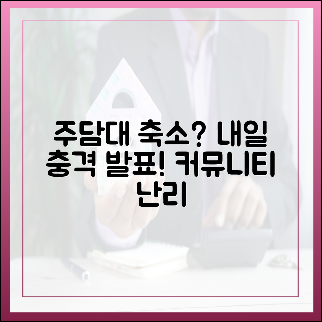 내일 주담대 축소 대책? 커뮤니티 '충격
