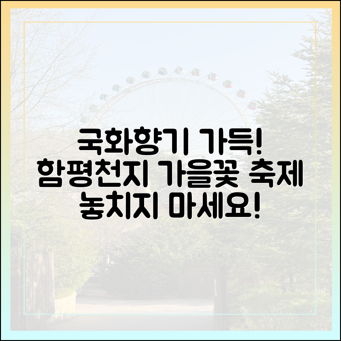 놀라운 국화향기! 함평천지 가을꽃 축제 강추!