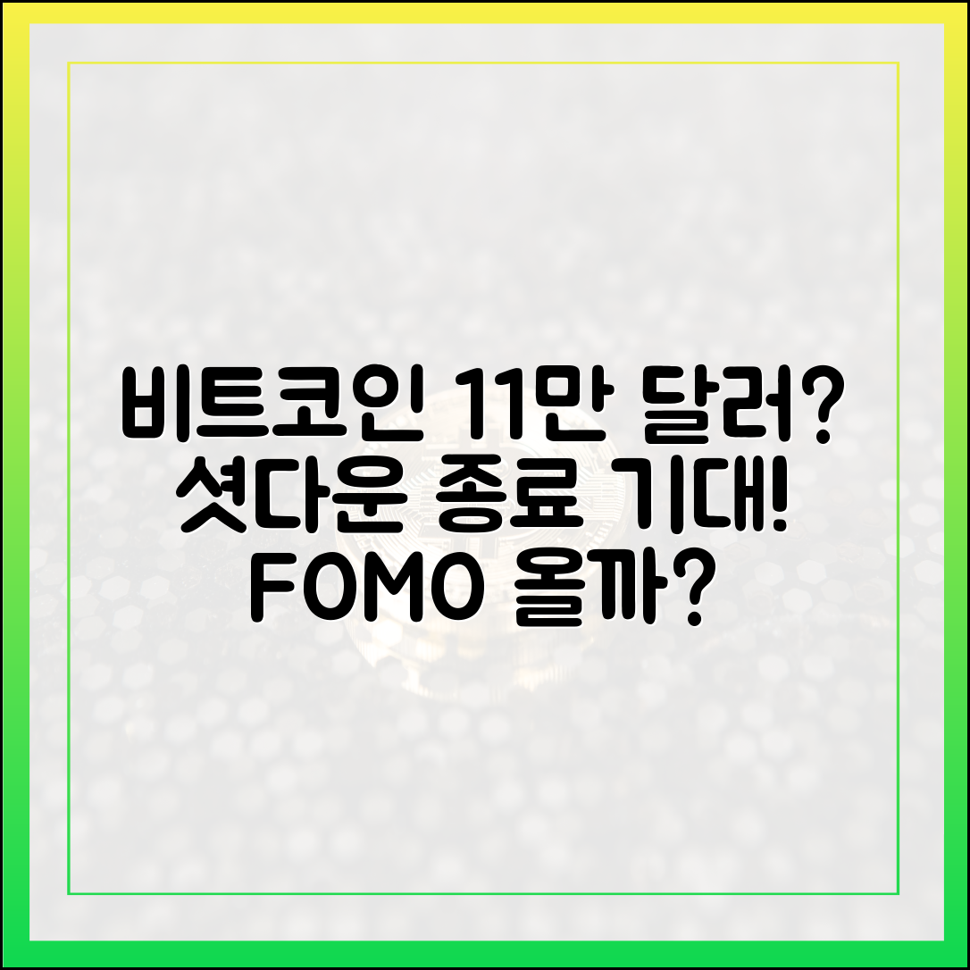 비트코인 11만 달러 재탈환? 셧다운 종료 기대!