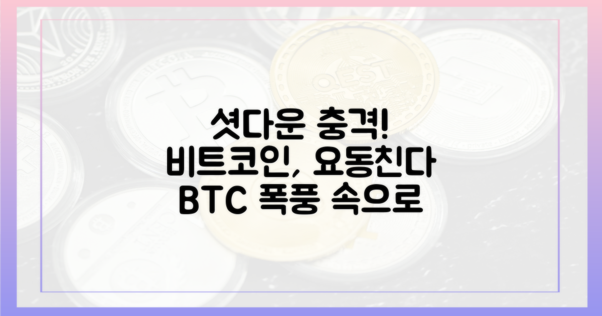 셧다운 영향, 비트코인 변동성
