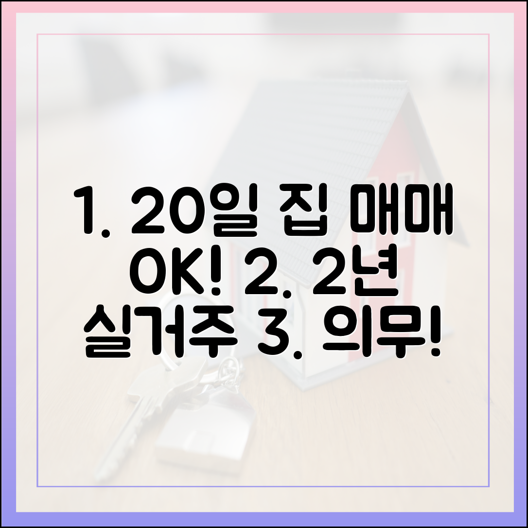 20일부터 집 매매 허가, 2년 실거주 의무! 충격!