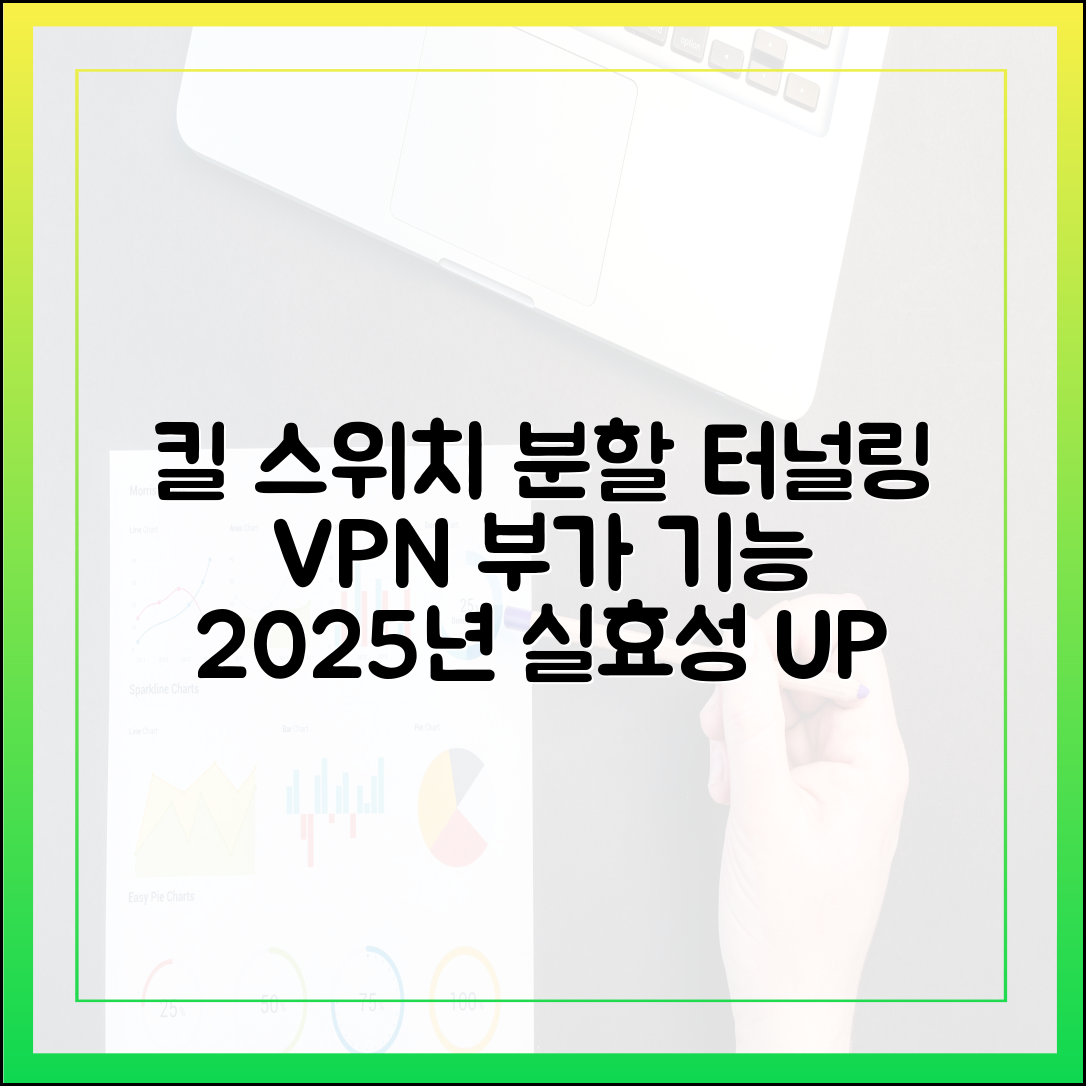 킬 스위치, 분할 터널링: VPN 부가 기능의 실제 효용성 2025년 업데이트
