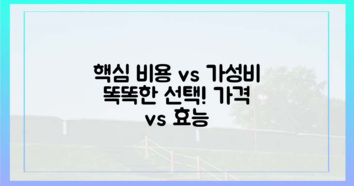 비용 vs 가성비 비교