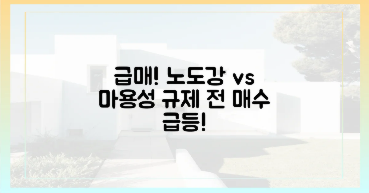 노도강 급매, 마용성 규제 전 매수 급등