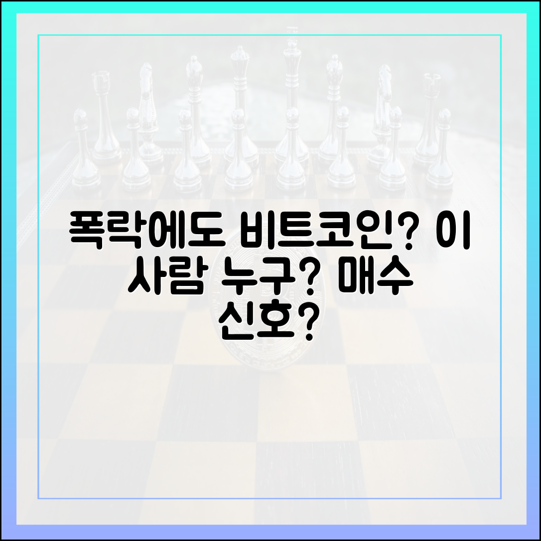 순자산가치 폭락 속, 비트코인 추가 매수 암시한 이 사람 누구?
