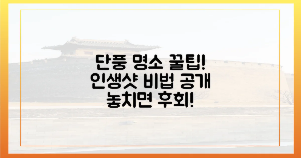 최고 단풍, 어떻게 잡을까?