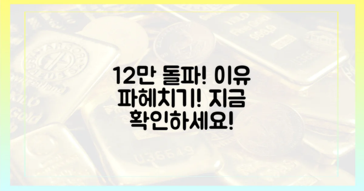 12만달러 돌파, 이유를 파악하세요!