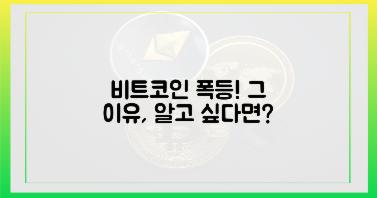 왜 비트코인 가격이 올랐을까?
