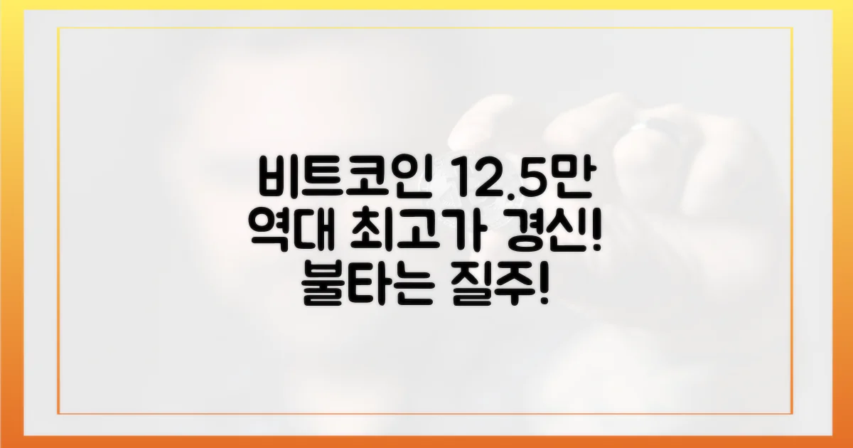 12.5만달러, 비트코인 역대 최고가 달성