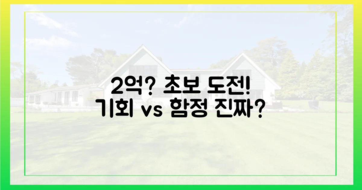 2억으로 도전? 초보의 기회와 함정