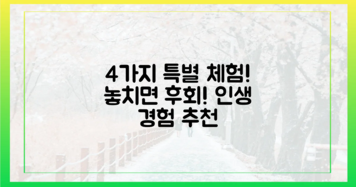 4가지 특별 체험 추천