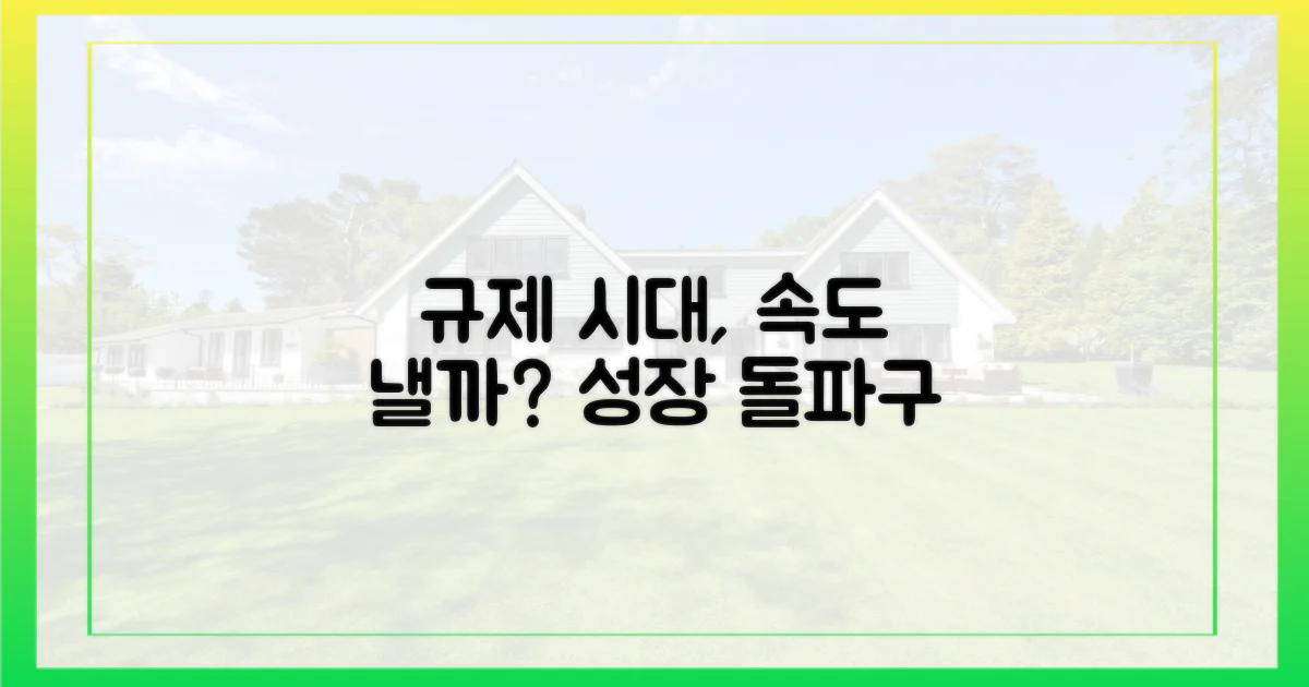 규제 시대, 속도 낼 수 있을까?