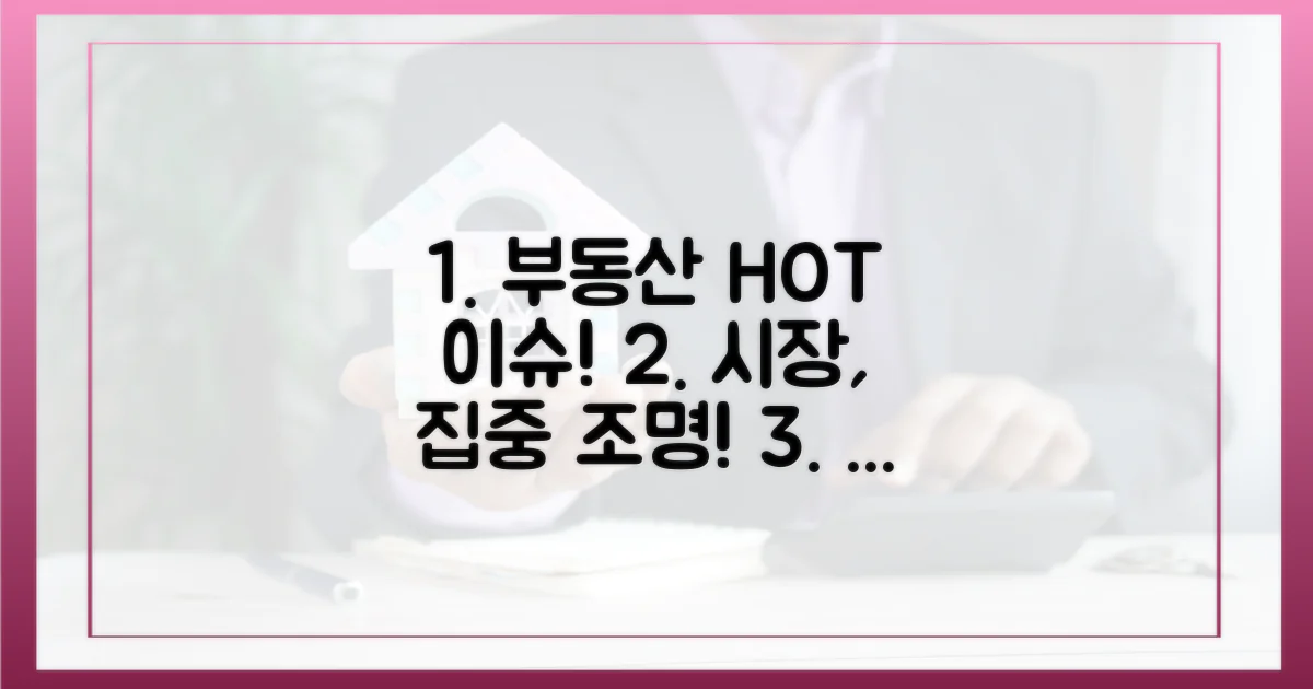 부동산 시장의 관심 집중