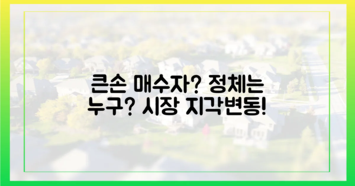큰손' 매수자 누구일까