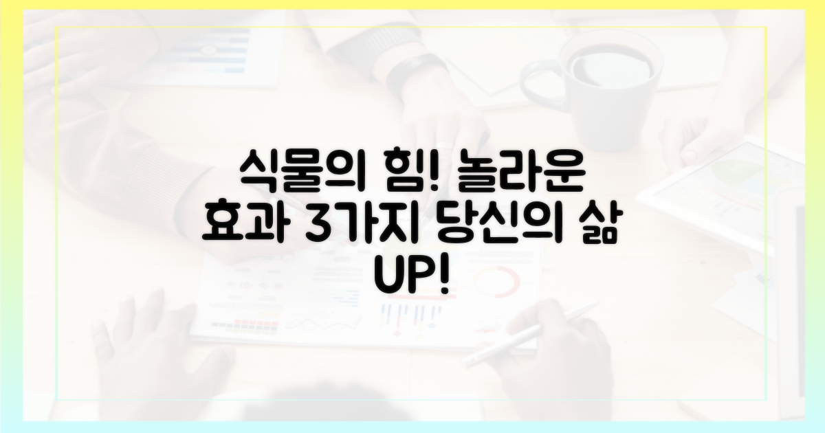식물이 주는 효과는?