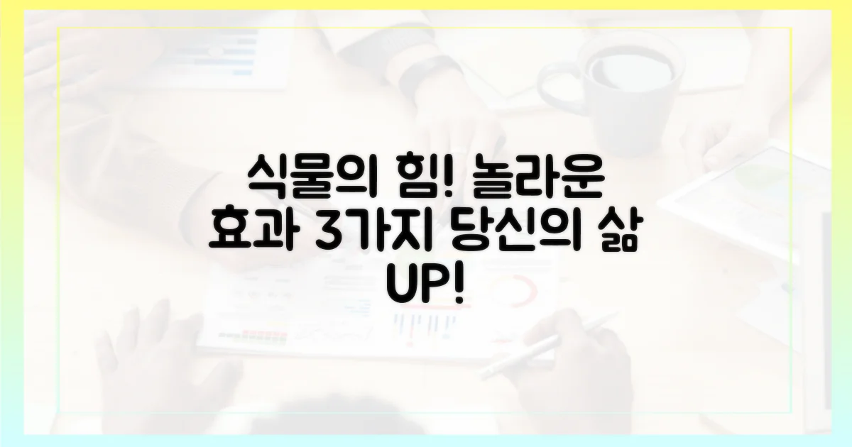 식물이 주는 효과는?