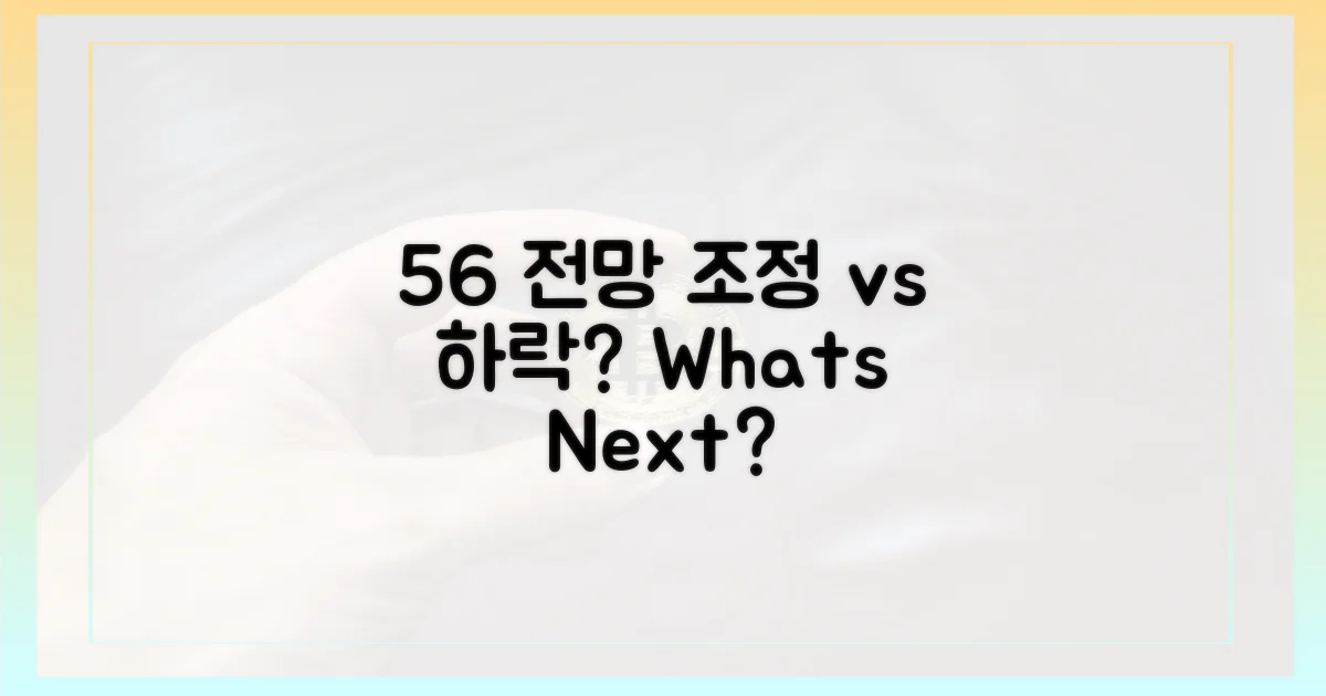 56% 전망, '조정'인가 '하락'인가?