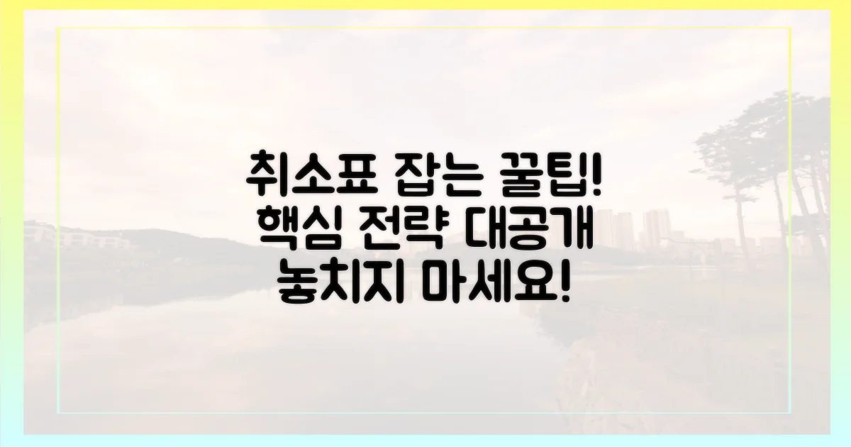 꿀팁 대방출! 취소표 잡는 전략