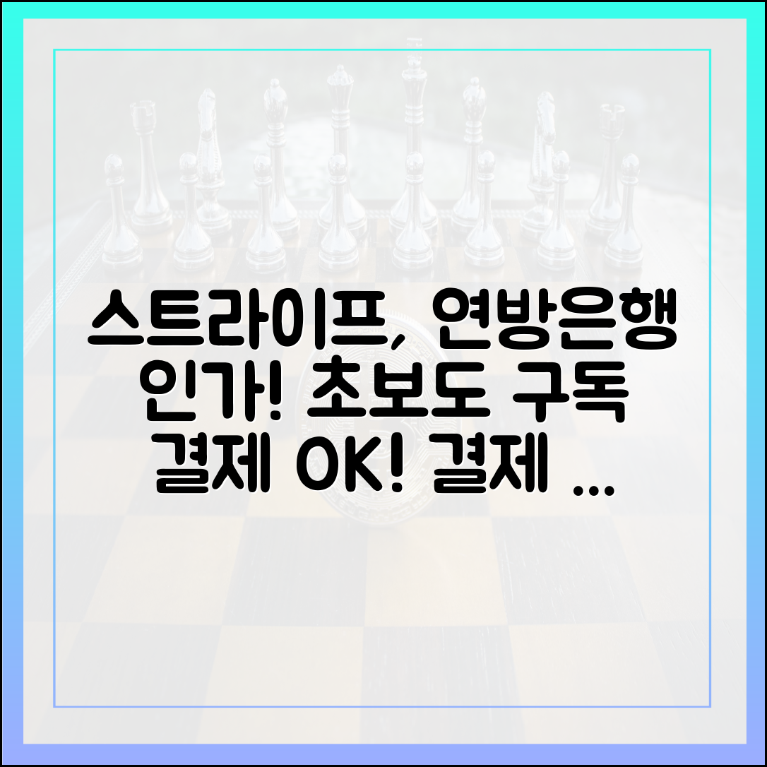 초보도 구독 결제! 스트라이프, 연방은행 인가 훈풍 .