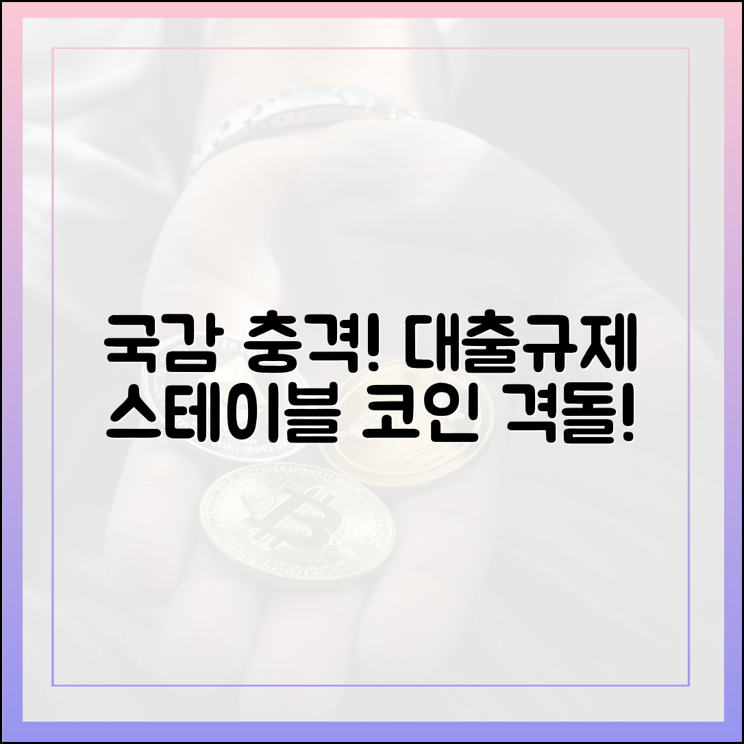 충격! 국감, 대출규제·스테이블코인 공방!
