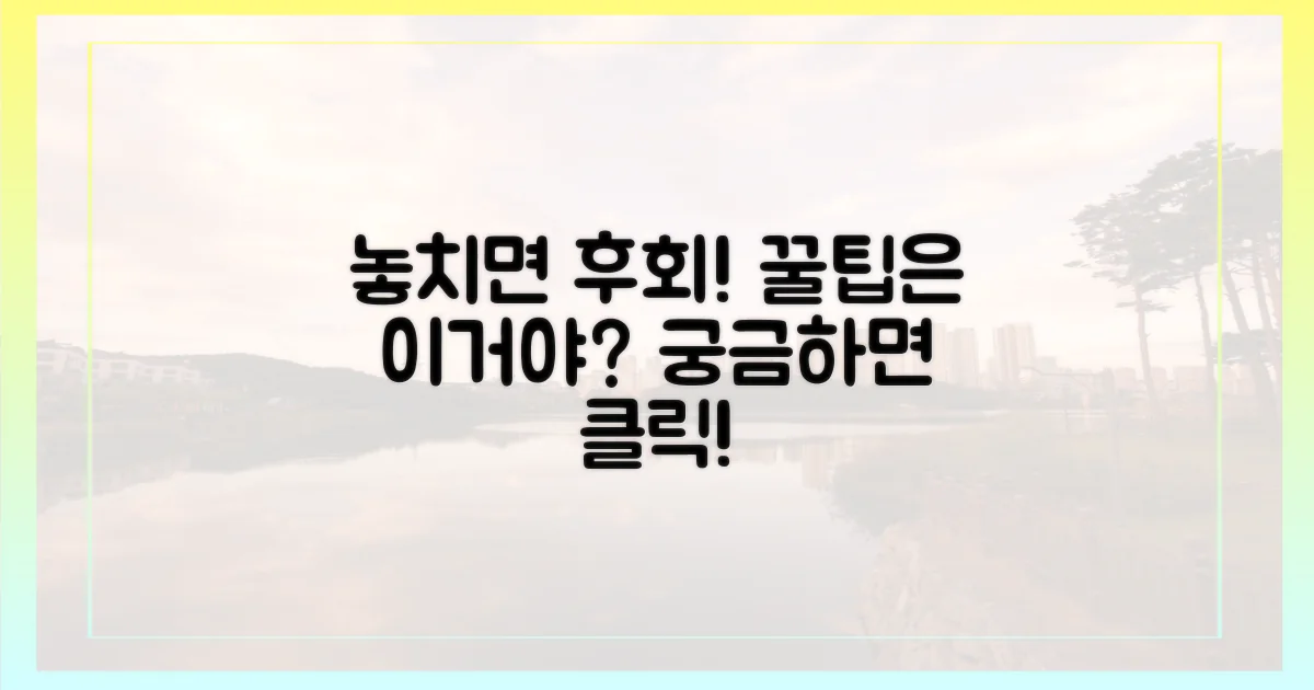 놓치면 후회! 꿀팁은 이거야?