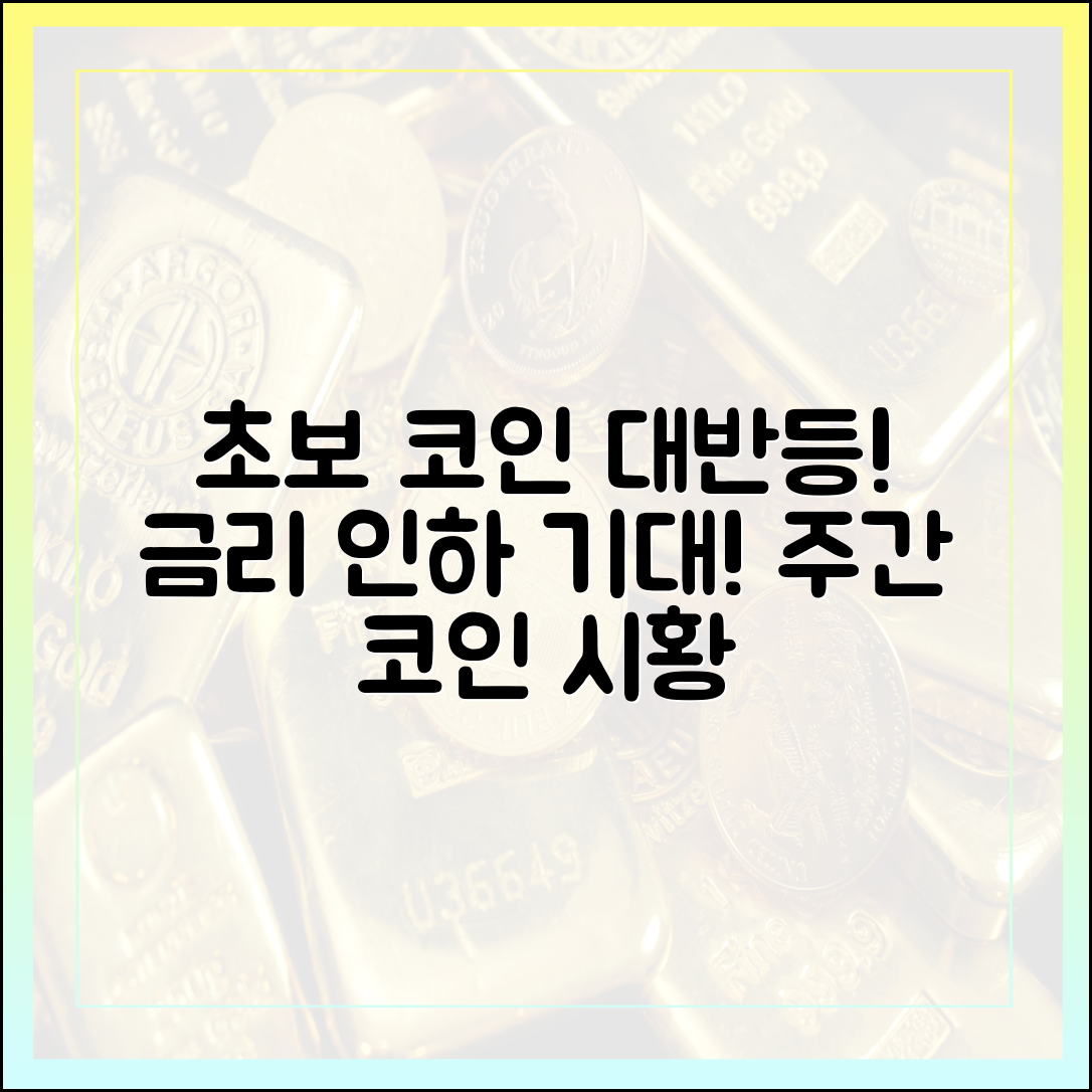 초보자도 보는 [주간코인시황] 금리 인하 기대에 가상자산 반등!