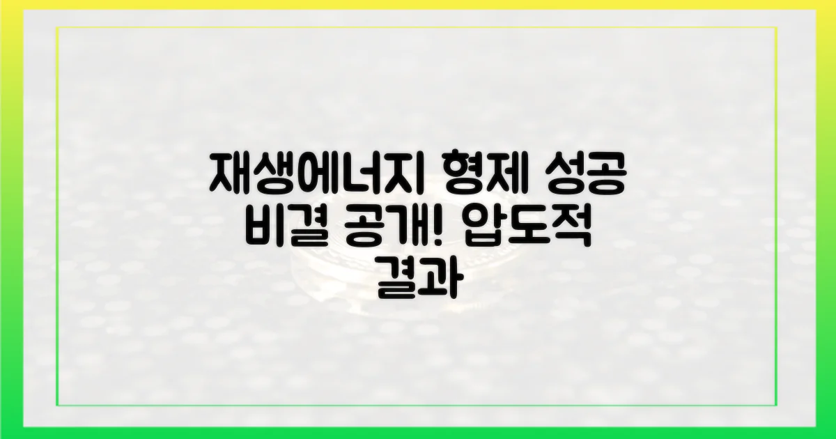 재생에너지 형제의 성공 비결