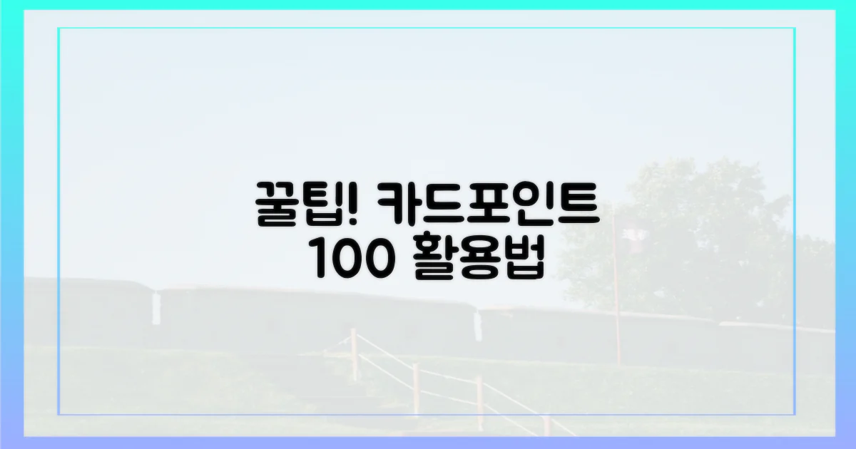 제휴 카드/포인트 활용법