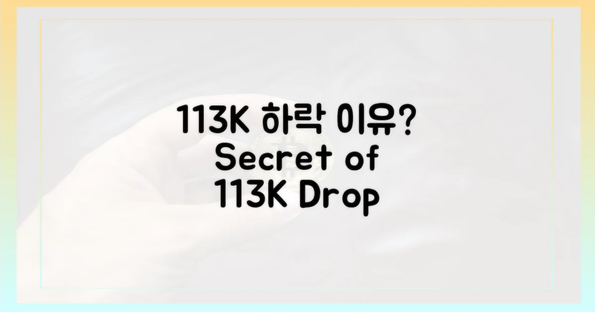 11만3천달러대, 약세의 원인은?