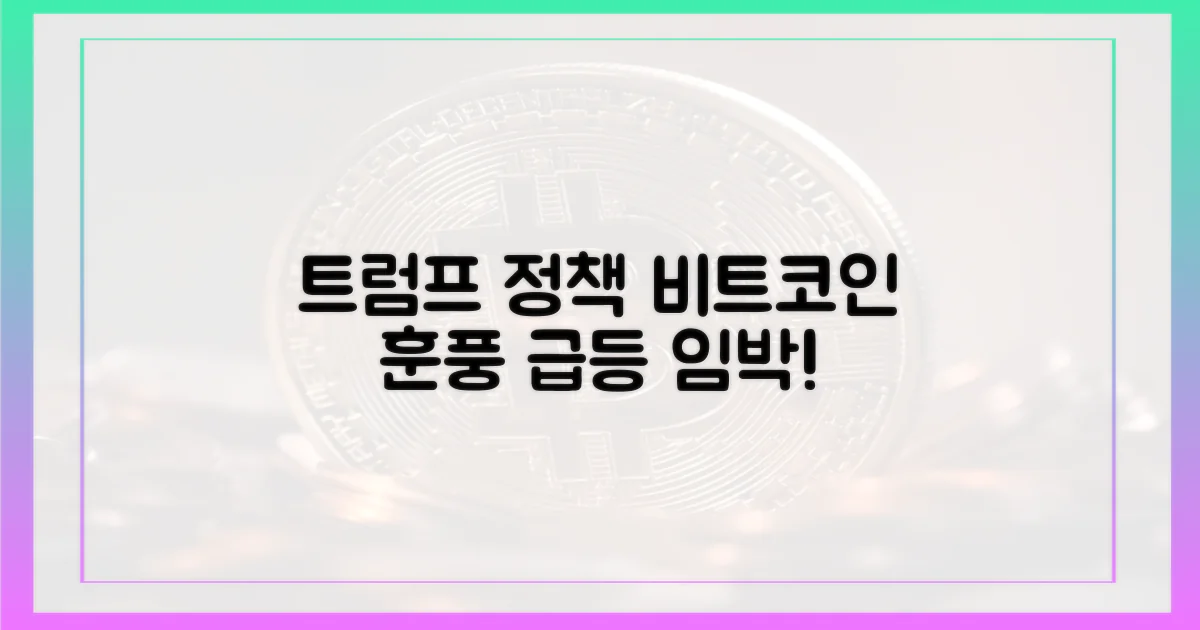 트럼프 정책, 비트코인 훈풍