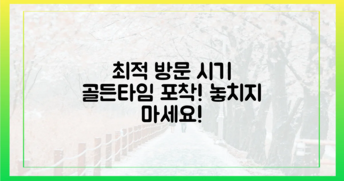 최적 방문 시기 고르기