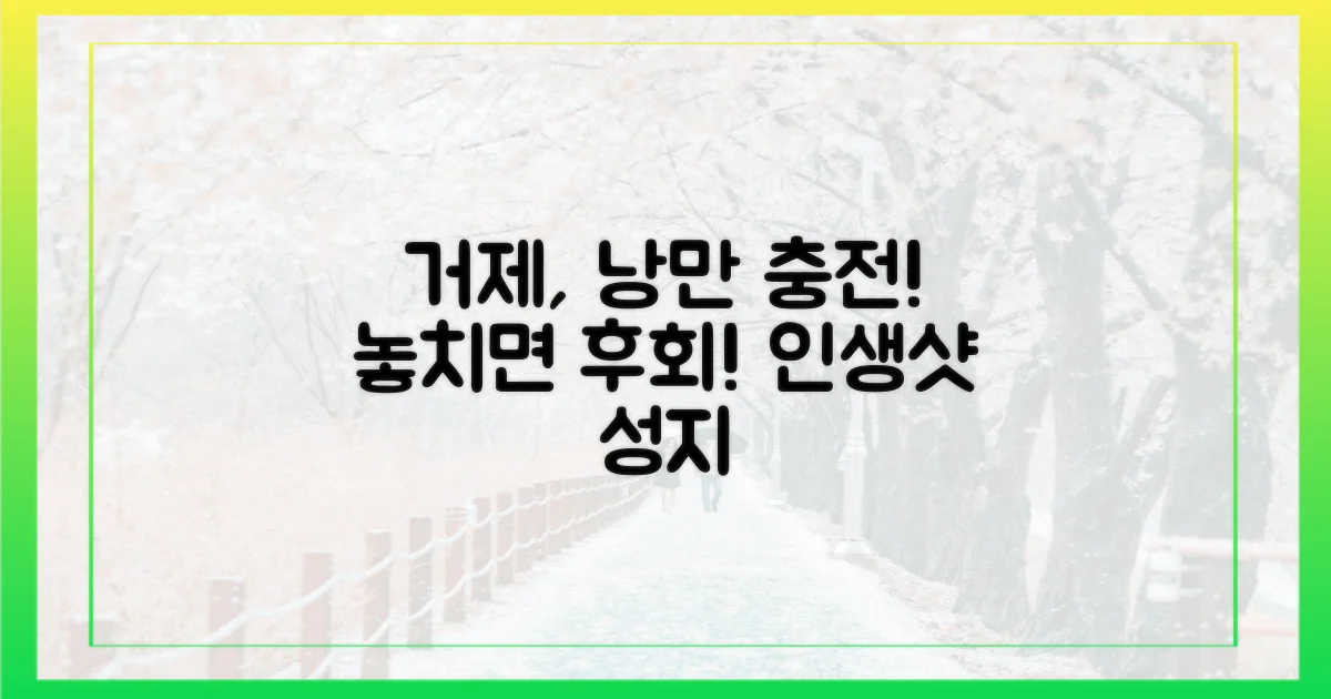 낭만 가득한 거제, 무엇을 기대할까?