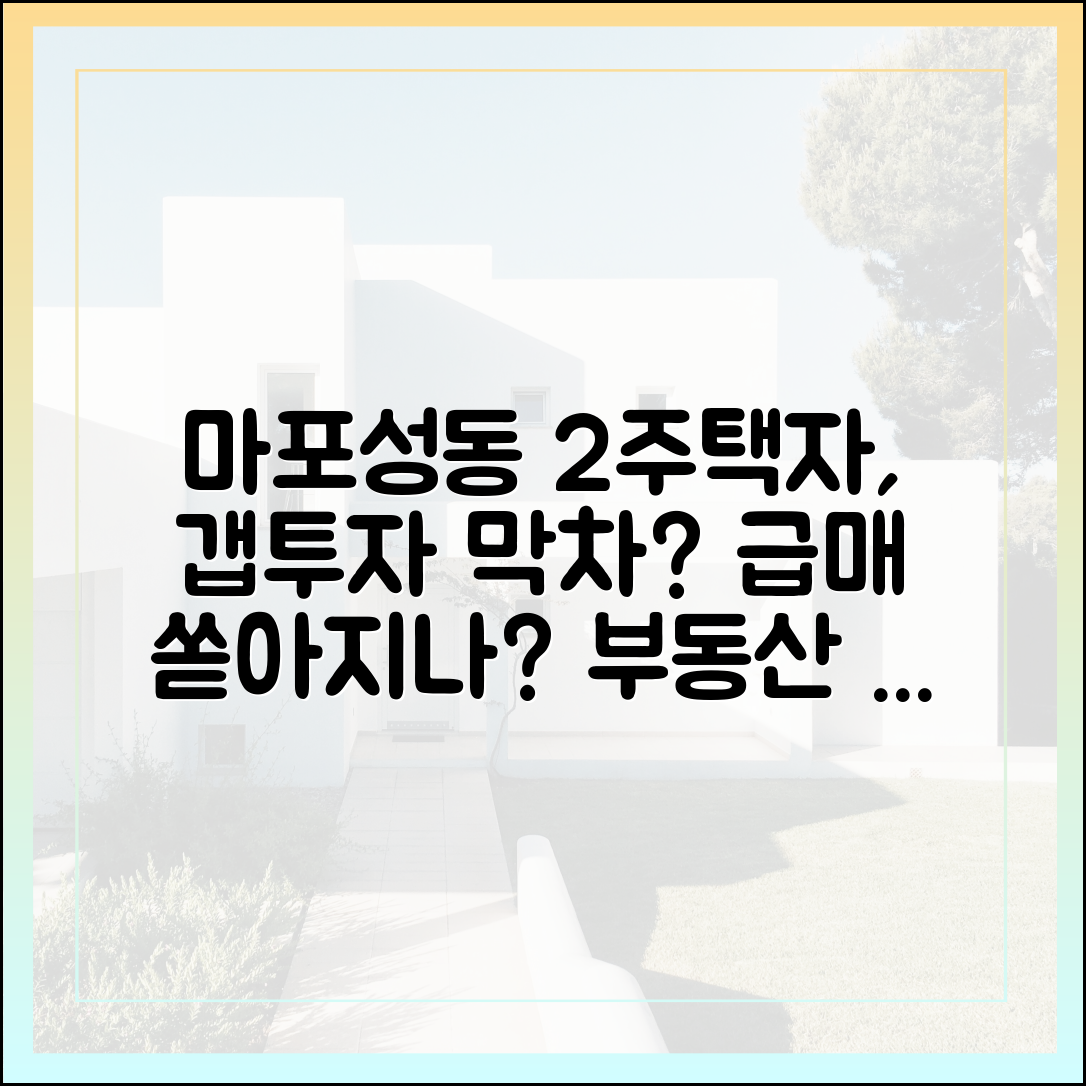 마포·성동 2주택자, 갭투자 막차 행렬 급매일까요?