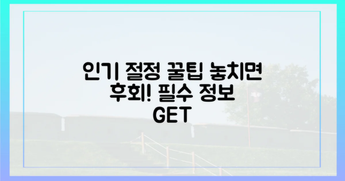 인기 절정, 놓치지 않는 팁