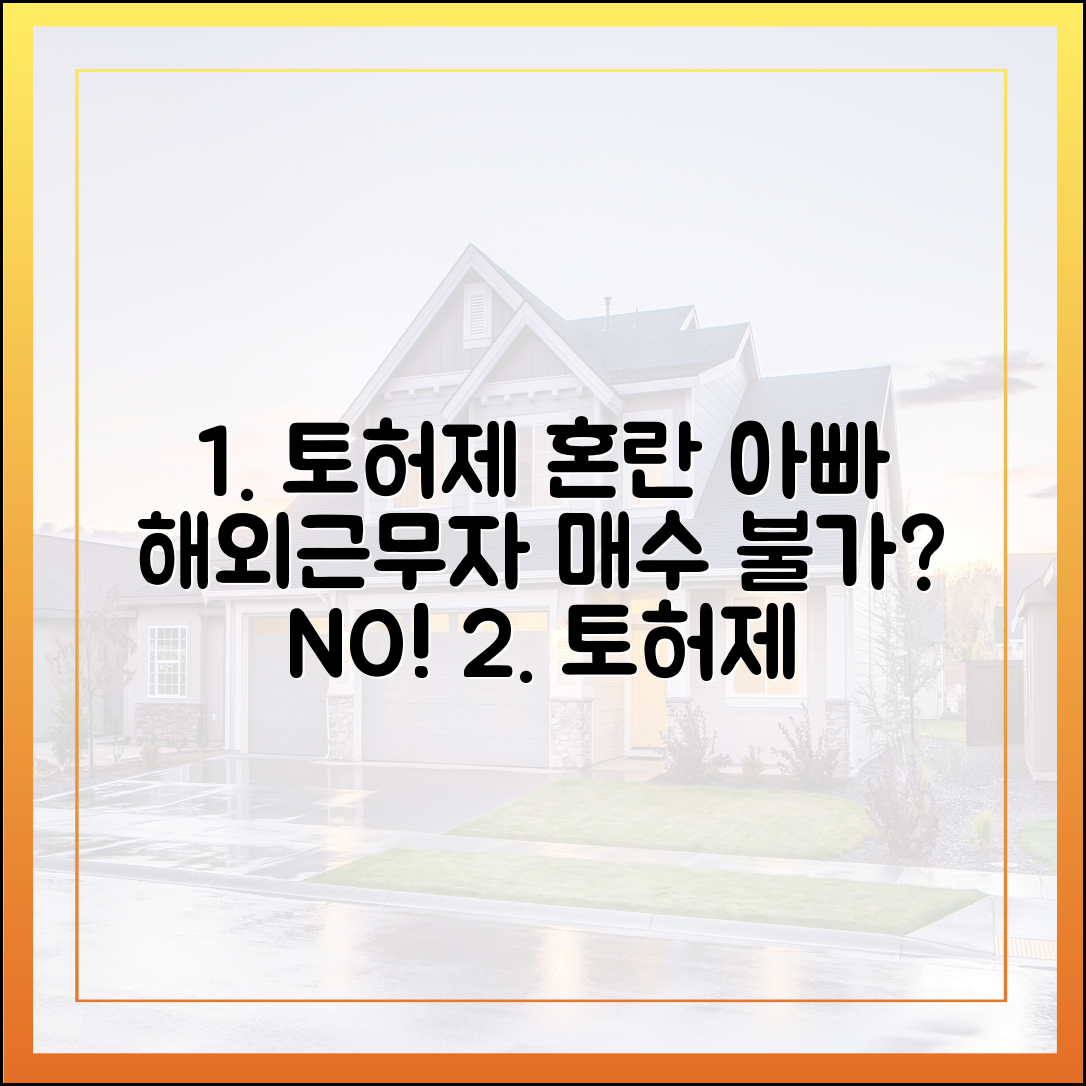 서울 토허제 혼란 가중: 아빠 해외근무자 매수 불가 완벽 가이드