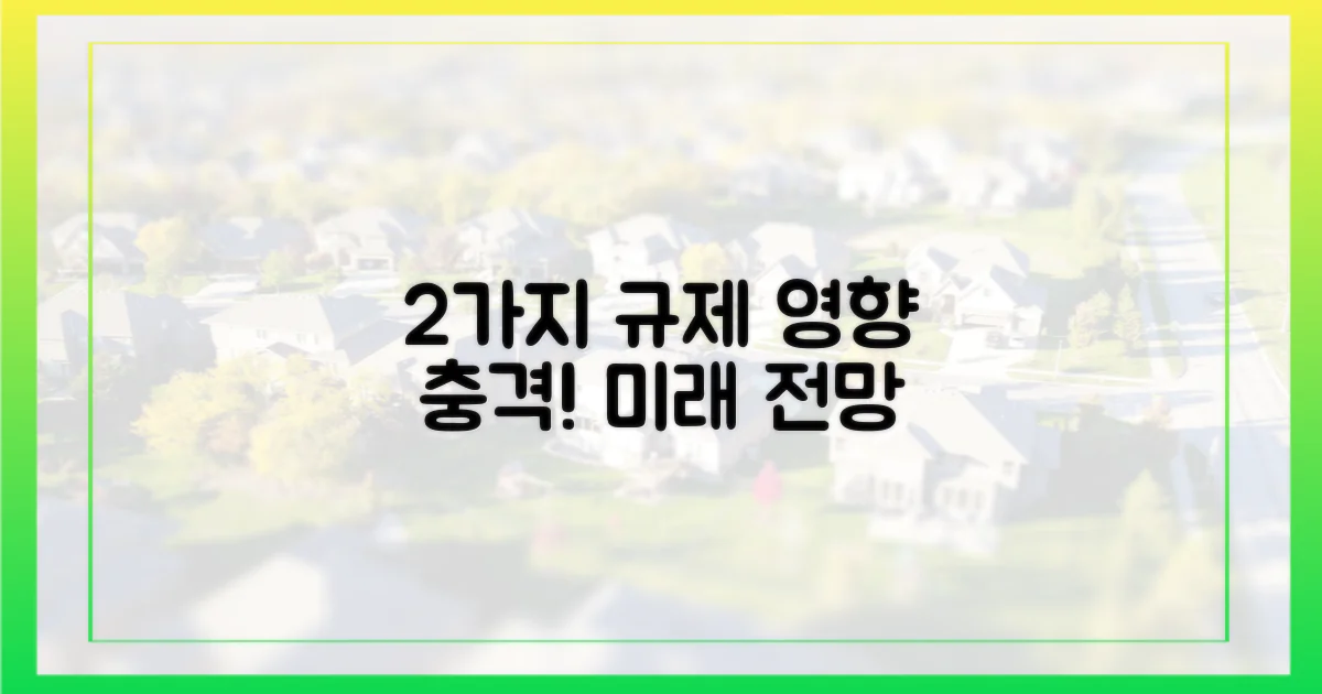 2가지 규제 영향