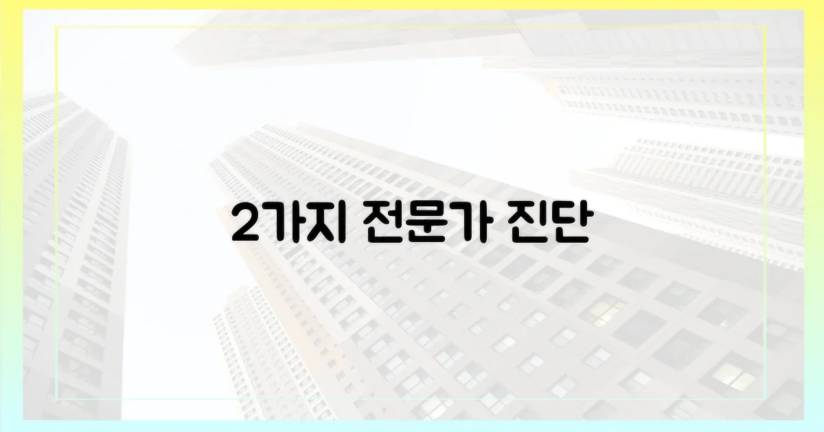 2가지 전문가 견해