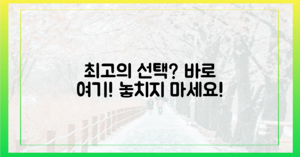 최고의 선택은 어디일까?
