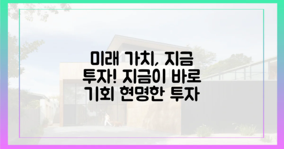 미래 가치, 현재의 투자 가치