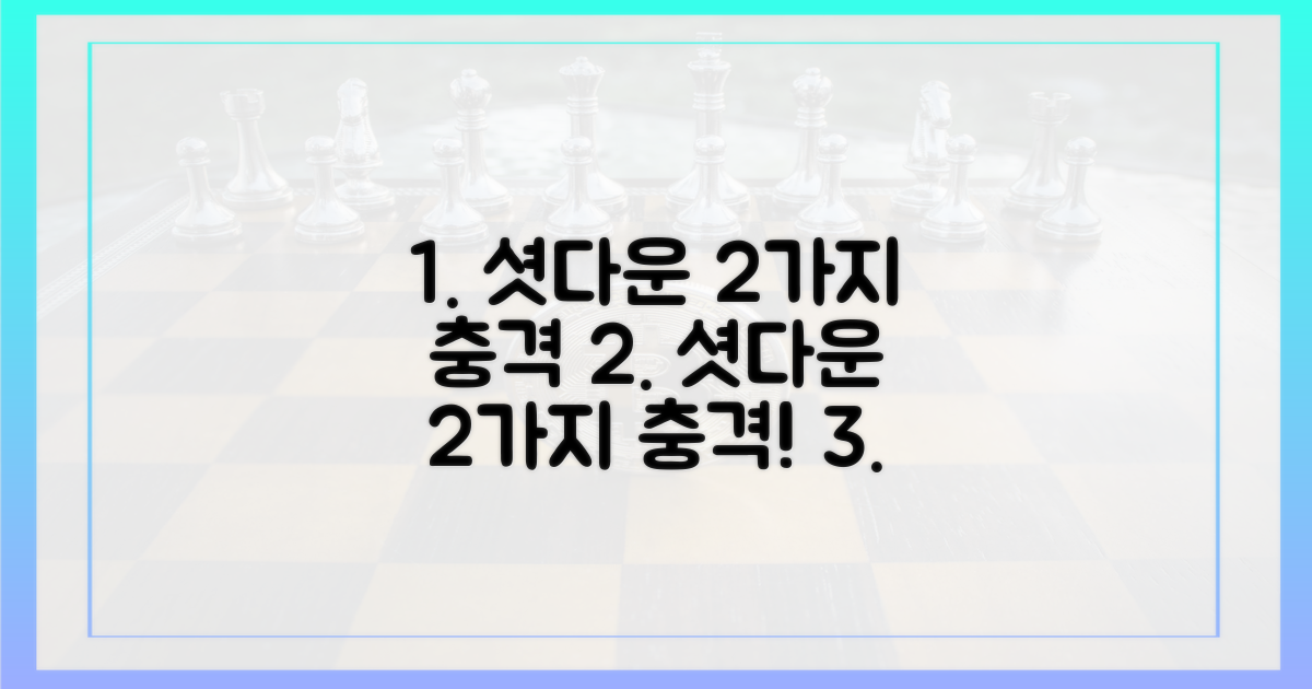 2가지 셧다운 영향
